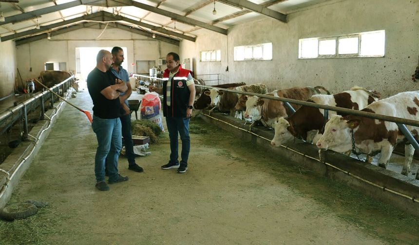 İl Müdürü Koçaker, Yeniköy’de Üreticilerle Buluştu