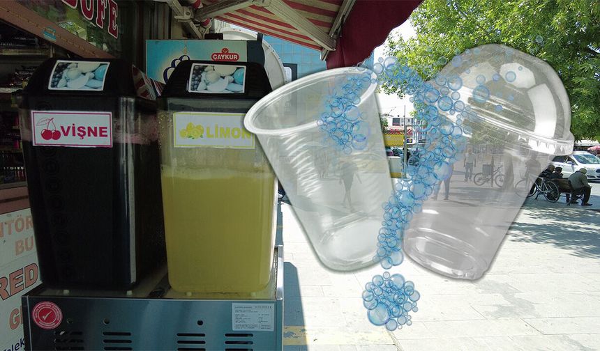 Açık PET Bardak mı, Kapaklı PET Bardak mı?