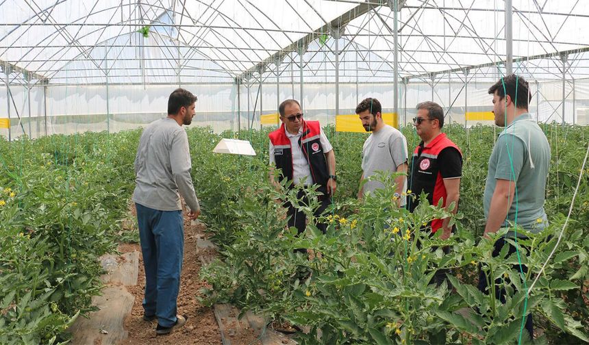 Erzincan'da Seracılık Faaliyetleri Yerinde İncelendi
