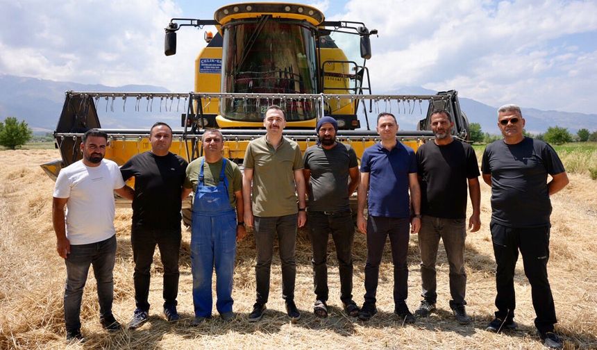 Üzümlü’de Buğday Hasadı Başladı