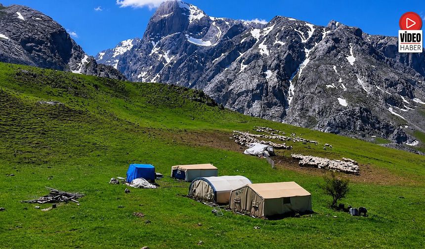 Zorlu Yayla Şartlarında Tescilli Lezzet Üretiliyor