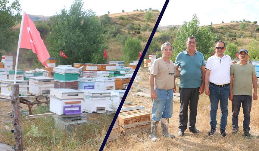 Bal Üretiyor, Arılığını Türk Bayraklarıyla Süsliyor
