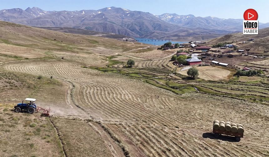 Erzincan Çilhoroz’da Hasat ve Kışlık Yem Mesaisi