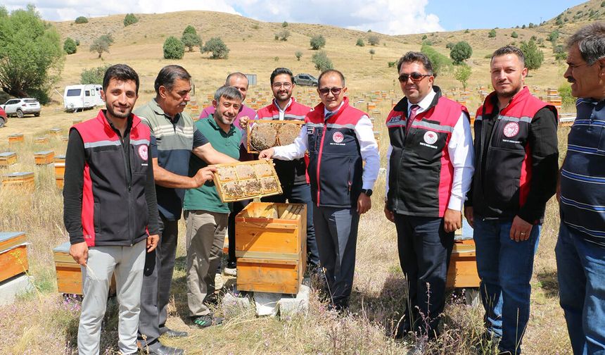 Erzincan’da 110 Bin Kovanla Bal Bereketi