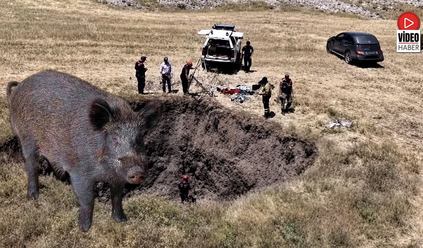 İliç'te Obruğa Düşen Yaban Domuzu Yavruları Kurtarıldı