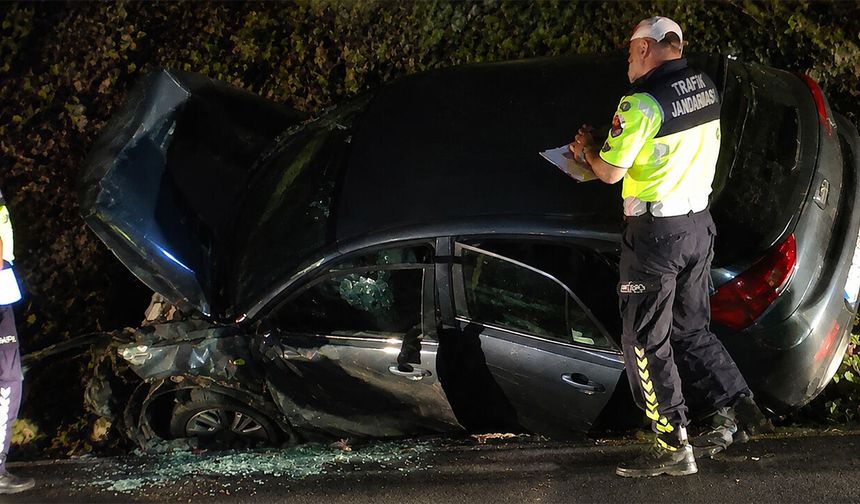 İliç-Refahiye Karayolunda Trafik Kazası