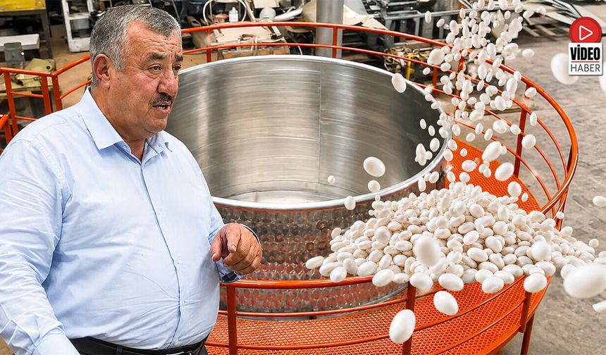 Kelkit Kuru Fasulyesi İçin Tarihi Rekor Denemesi