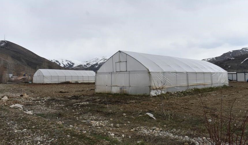 Erzincan'da Sera Örtüsü Yenileme Desteği Başvuruları Uzatıldı