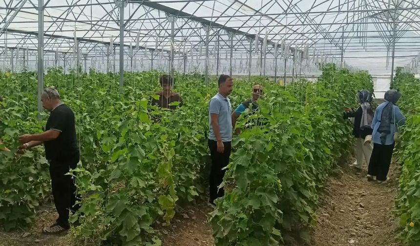 Erzincan’da Geleceğin Tarım Uzmanları Yetişiyor