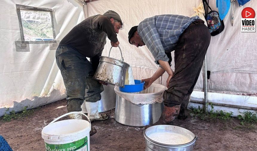 Erzincan Tulum Peyniri Büyük Emekle Üretiliyor