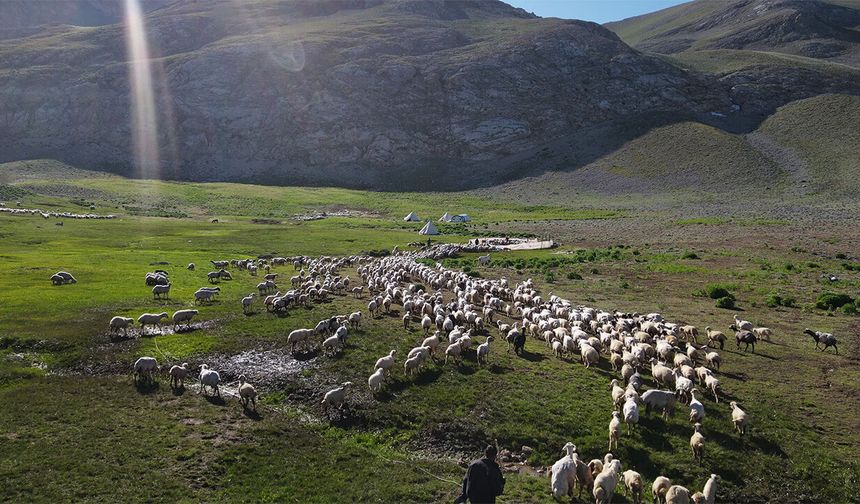 Erzincan'da Yaylalardan Dönüş Zamanı Yaklaşıyor