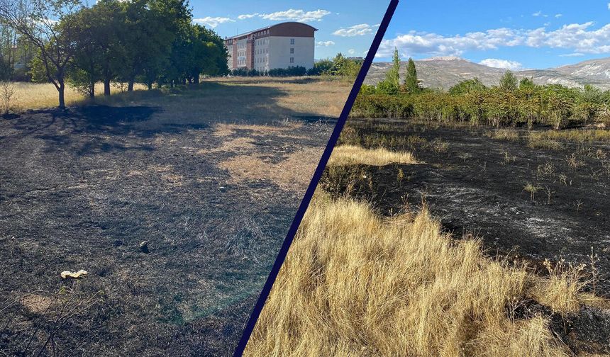 Erzincan'da Anız Yangını Büyümeden Söndürüldü