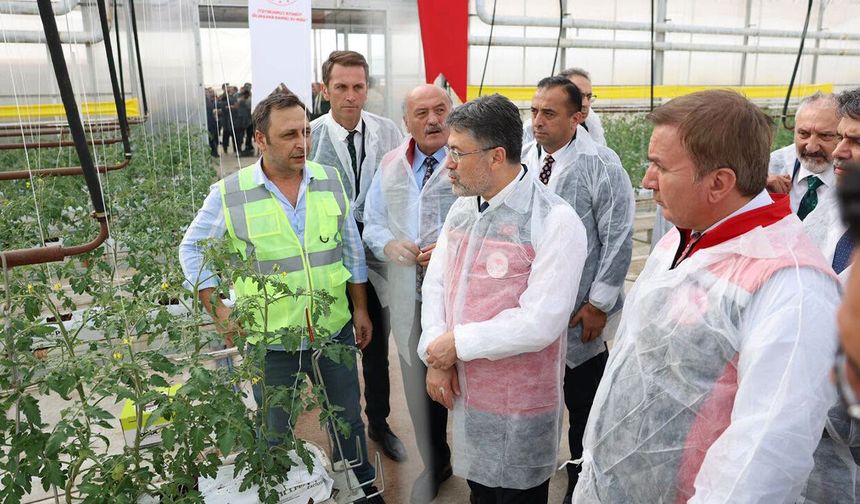 Bakan Yumaklı, Erzincan'daki Jeotermal Sera Alanını İnceledi