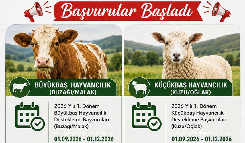 Buzağı ve Kuzu Destekleri İçin Başvurular Başladı
