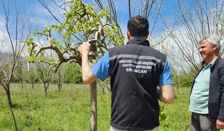 Erzincan'da Çiftçilere Sahada Teknik Destek