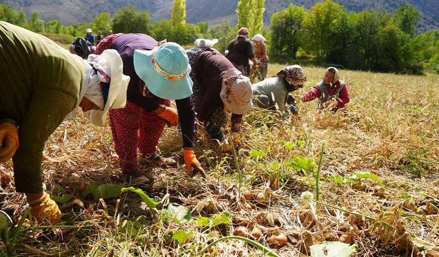 Erzincan'a 169,6 Milyon Liralık Tarımsal Hibe Desteği