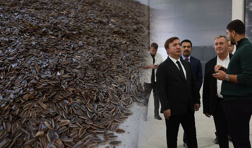 Ayçiçeği İşleme Tesisinde Günlük 100 Ton Üretim Hedefi