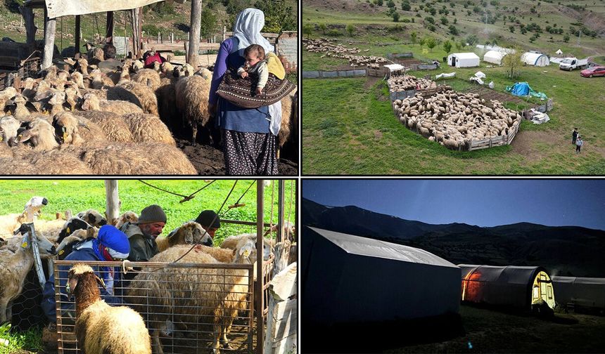 2 Bin 500 Rakımda Asırlık Mesai