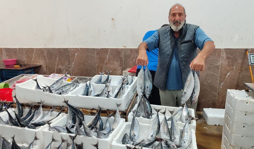 Erzincan’da Palamut Tezgahta Durmuyor