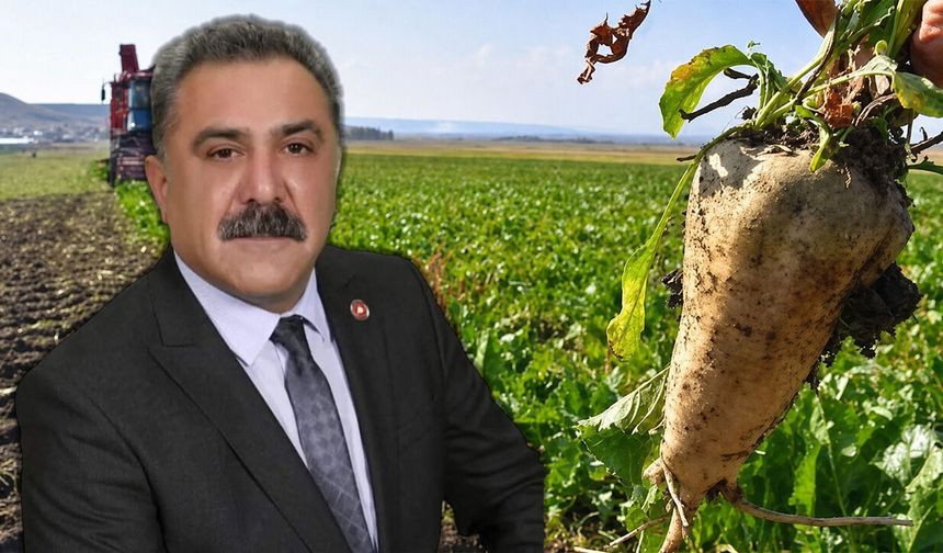 Çelik: “Ne Hale Geldi Üreticimiz, İnşallah Borçlu Kalmayız”
