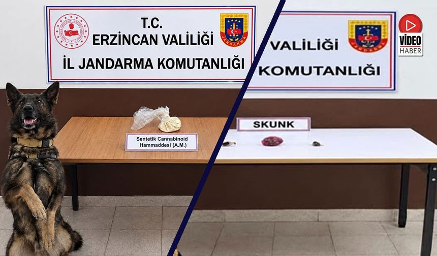 Erzincan'da Bonzai Hammaddesi ve Skunk Ele Geçirildi