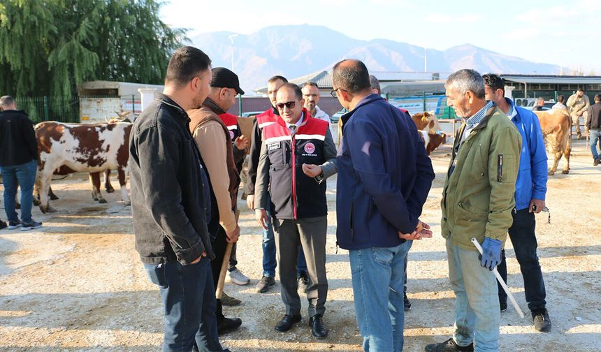 Erzincan’da Hayvan Pazarında Şap Aşısı Uyarısı