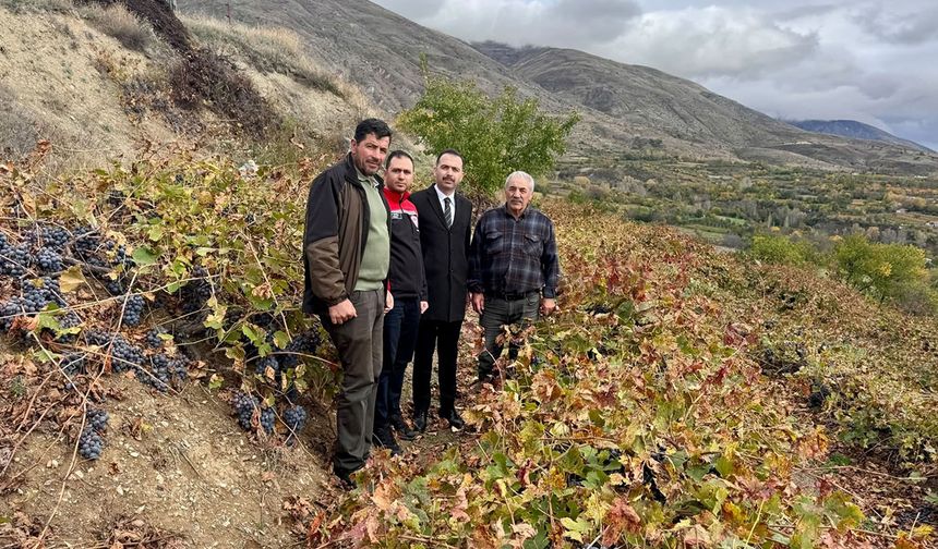 Kaymakam Hökelekli’den Üzüm Üreticisine Ziyaret