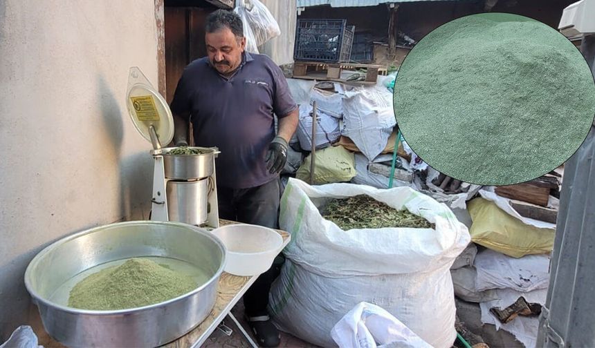 Kemaliye’de Bir Avuç Zetrin’in Ardında Aylarca Süren Emek Var