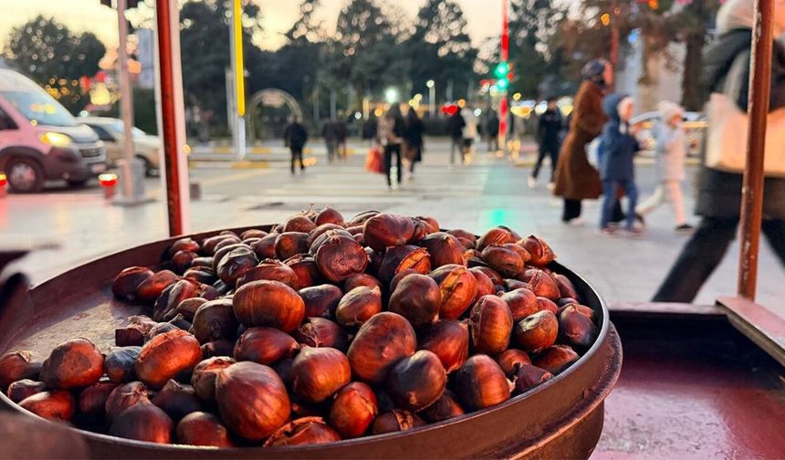 Erzincan’da Kışın Habercisi Kestane Satışta