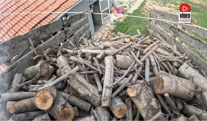 Köylerde Kışlık Odun Hazırlığı Sürüyor