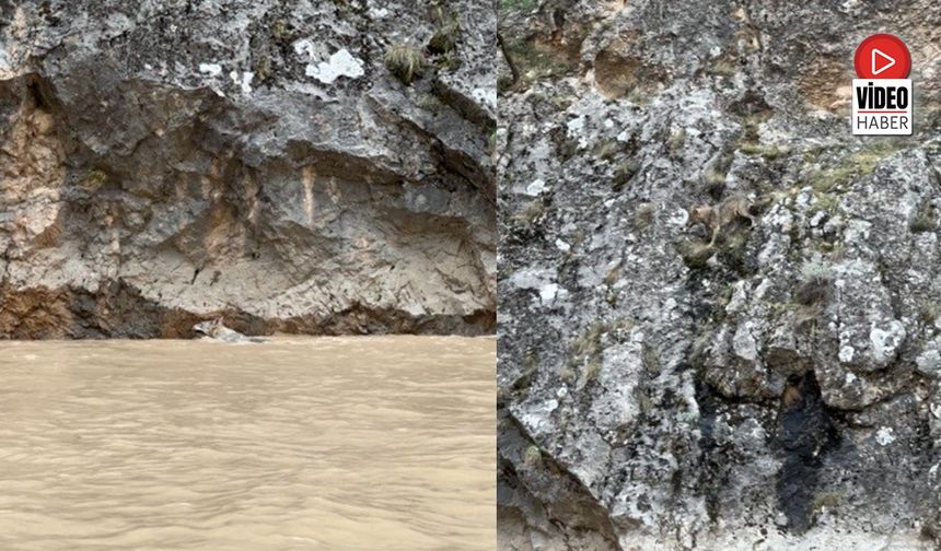 Fırat Nehri Boyunca Süren Kovalamaca Kameraya Yansıdı