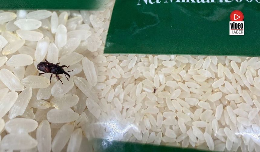 Erzincan’da Pirinç Paketinden Böcek Çıktı!