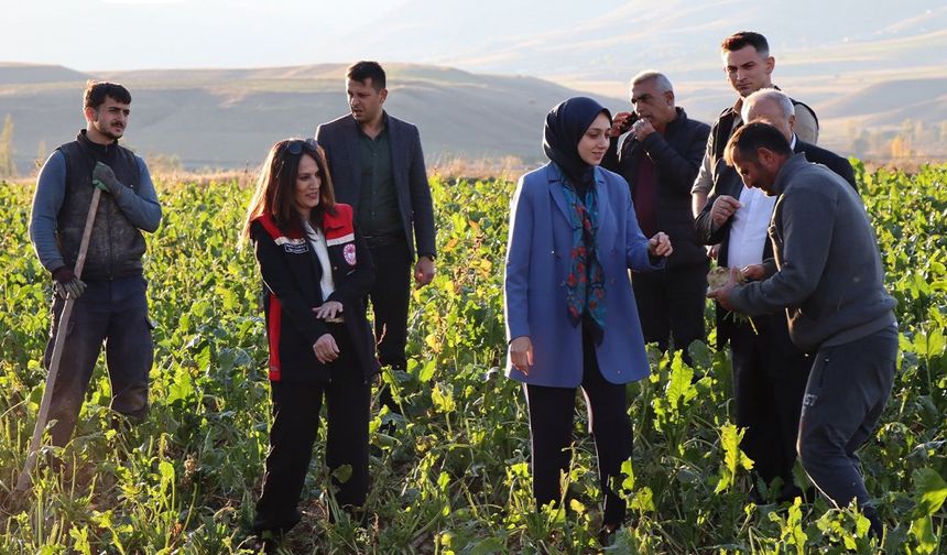 Tercan Kaymakamı Duman’dan Çiftçilere Ziyaret