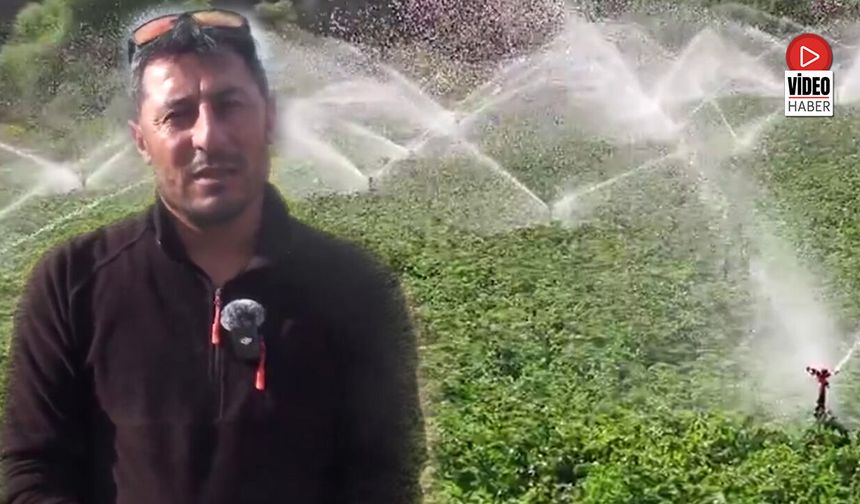 Çadırkaya’da Sulama Yatırımı Üretimi Artırdı