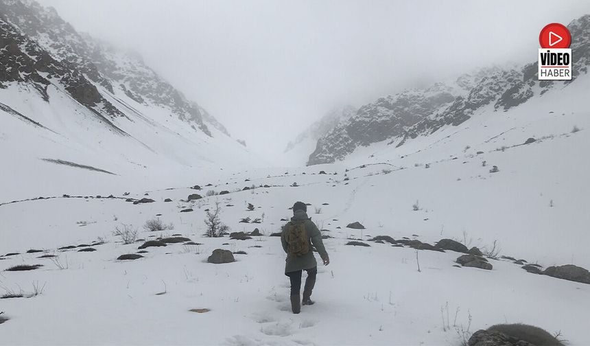 Erzincan'da Hava Soğudu, Zirvelere Kar Yağdı