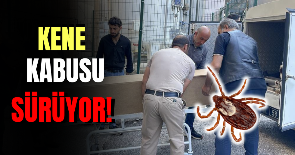 Kene Kabusu Sürüyor: Can Kaybı 13'e Yükseldi